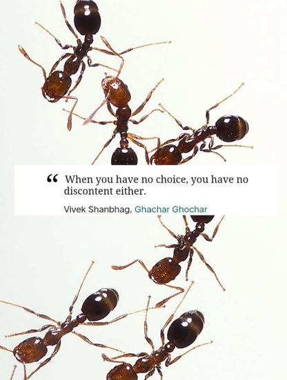 Ghachar Ghochar by Vivek Shanbhag